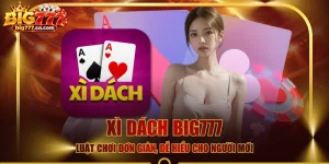 Xì Dách BIG777 - Luật Chơi Đơn Giản, Dễ Hiểu Cho Người Mới
