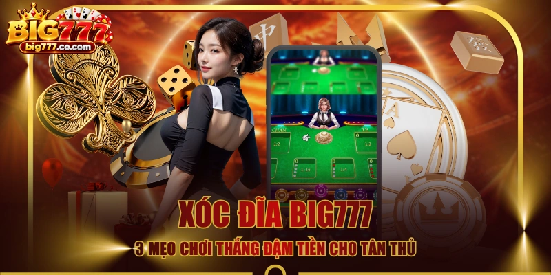 Xóc Đĩa BIG777 - 3 Mẹo Chơi Thắng Đậm Tiền Cho Tân Thủ